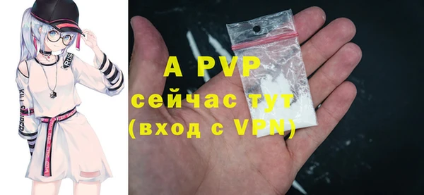 винт Нея