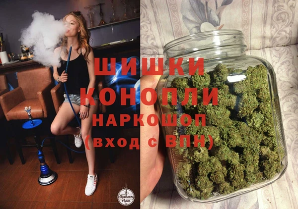 винт Нея