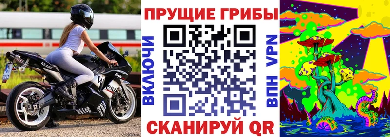 Псилоцибиновые грибы Magic Shrooms  как найти наркотики  blacksprut онион  Качканар 