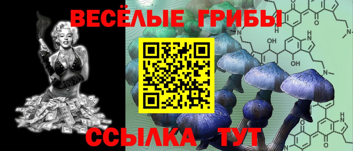 Псилоцибиновые грибы мухоморы Качканар