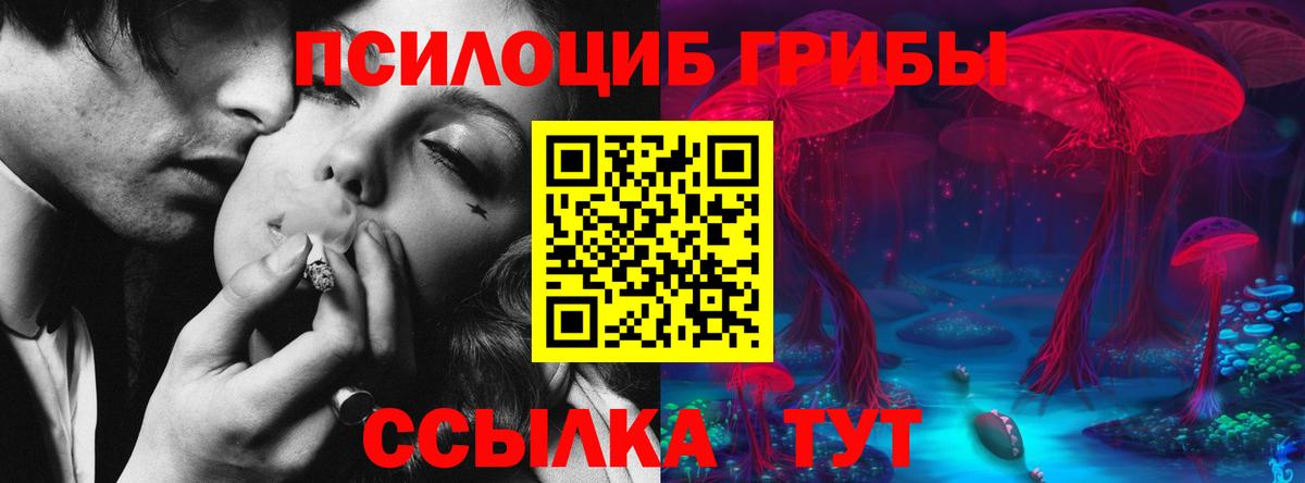 где можно купить   Вход с VPN  Качканар  Галлюциногенные грибы GOLDEN TEACHER 